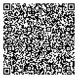 vCard 79397151051
