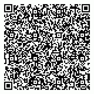 vCard 79397151053