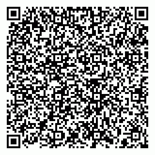 vCard 79397151063