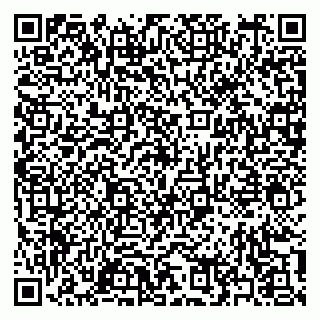 vCard 79397151095