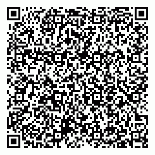 vCard 79397151111