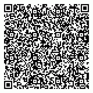 vCard 79397151233