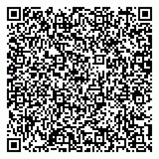vCard 79397151272