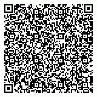 vCard 79397151273