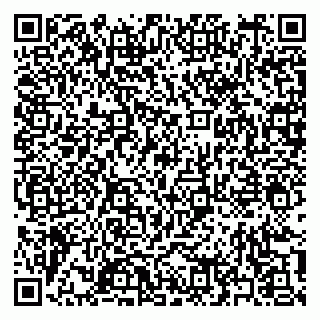 vCard 79397151293