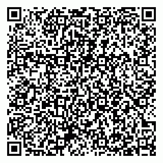 vCard 79397151305