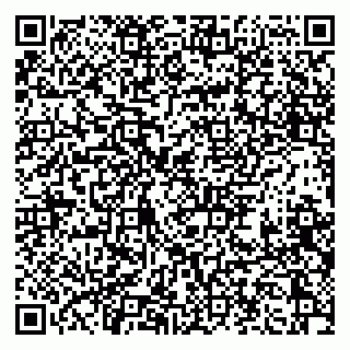 vCard 79397151311