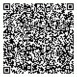 vCard 79397151318