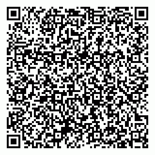 vCard 79397151321