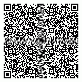 vCard 79397151329
