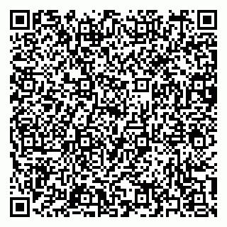 vCard 79397151330