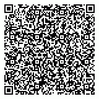 vCard 79397151331
