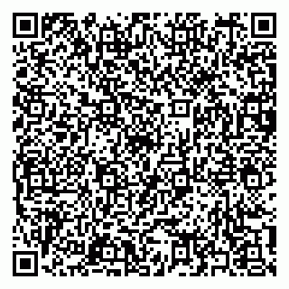vCard 79397151332