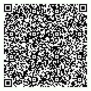 vCard 79397151333