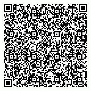 vCard 79397151335