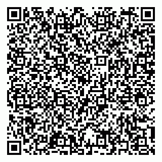 vCard 79397151381