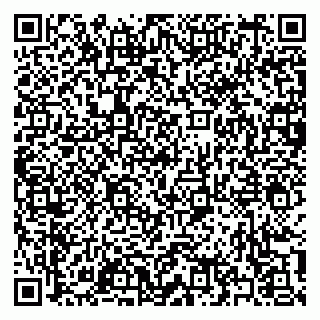 vCard 79397151731