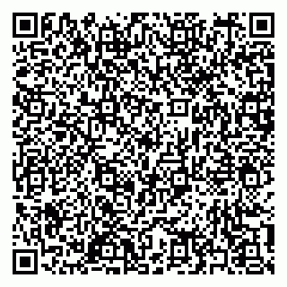 vCard 79397153211