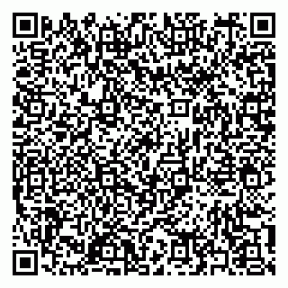 vCard 79397153285