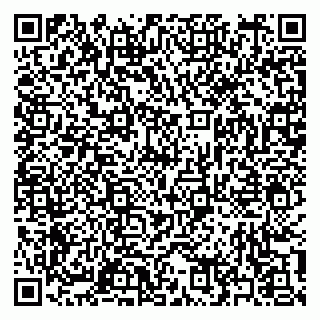vCard 79397153300