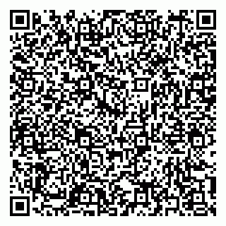 vCard 79397153303