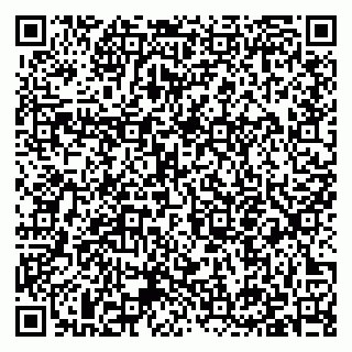 vCard 79397153311