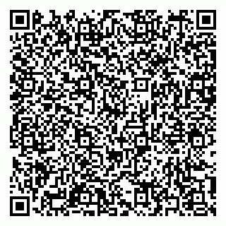 vCard 79397153313