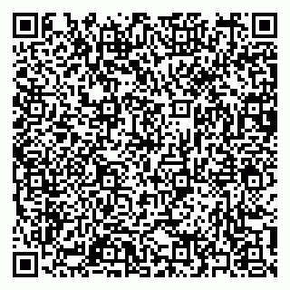 vCard 79397153331