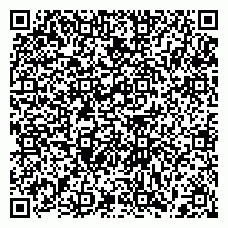 vCard 79397153333