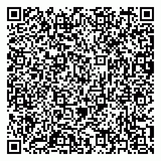 vCard 79397153339
