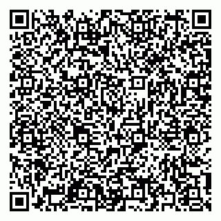 vCard 79397153381