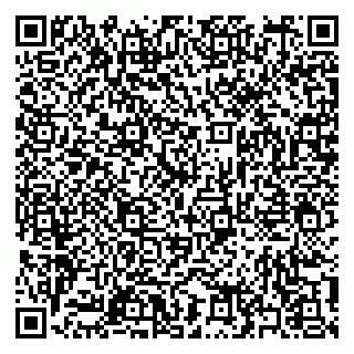 vCard 79397153385