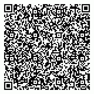 vCard 79397153500