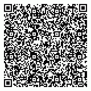 vCard 79397153503