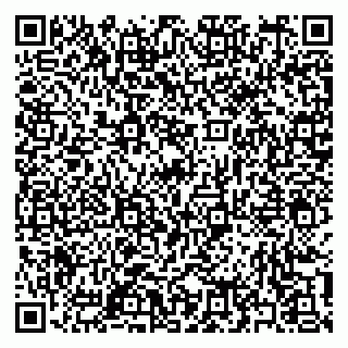 vCard 79397153541