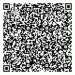 vCard 79397153727