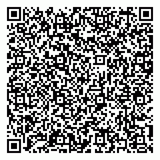 vCard 79397153729