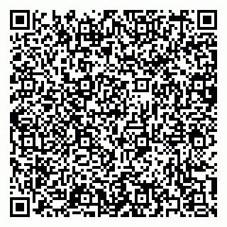 vCard 79397153731