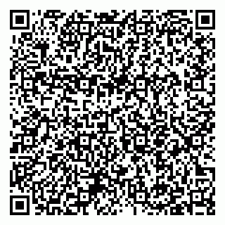 vCard 79397153813