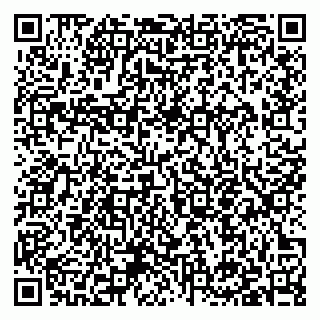 vCard 79397153871