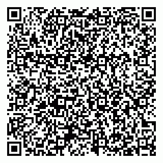 vCard 79397153881