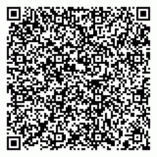 vCard 79397153893