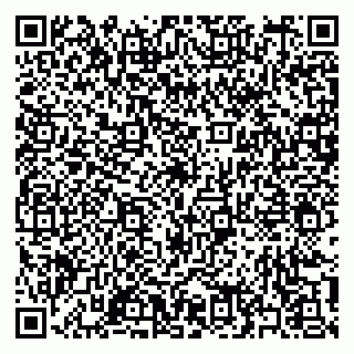 vCard 79397154013