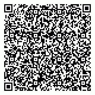 vCard 79397154131