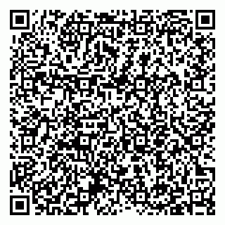 vCard 79397154173