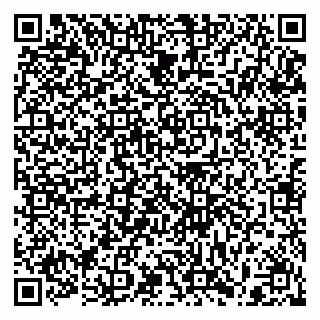vCard 79397155203