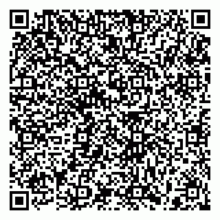 vCard 79397155293