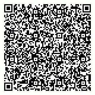 vCard 79397155296