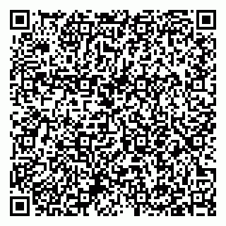 vCard 79397155313