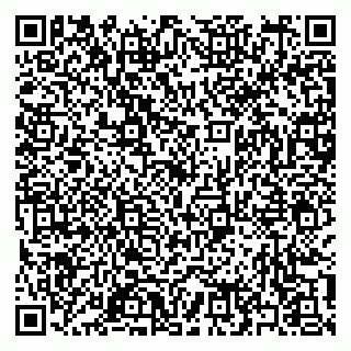 vCard 79397155329